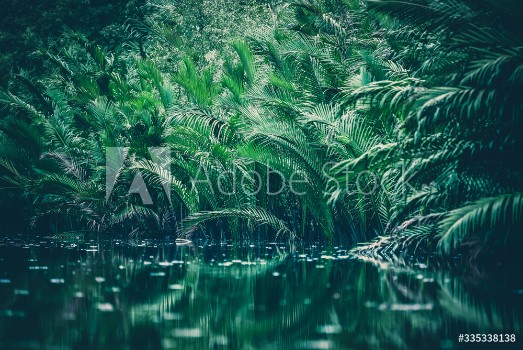 Bild på natural green filter tropical forest with lake
